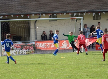 E-Jugend (Kreisklasse B): Saisonfotos