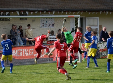 E-Jugend (Kreisklasse B): Saisonfotos