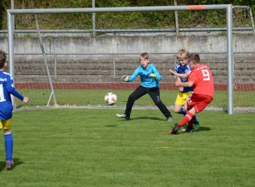 E-Jugend (Kreisklasse B): Saisonfotos