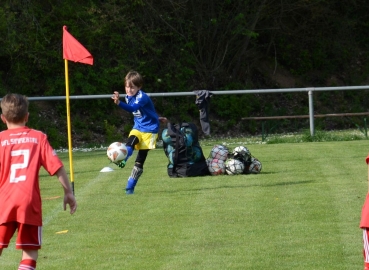 E-Jugend (Kreisklasse B): Saisonfotos